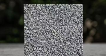 南充 芝麻黑荔枝面