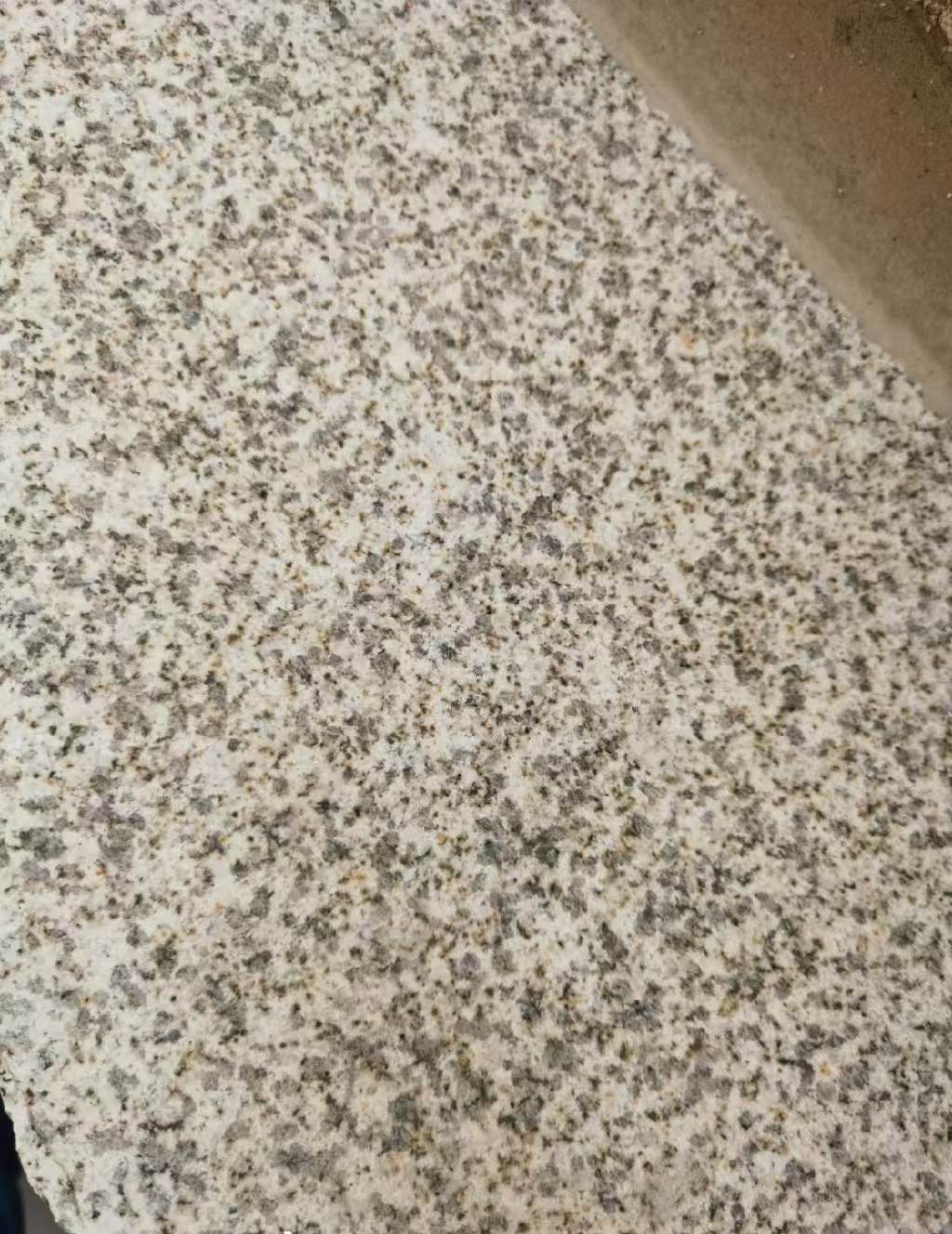 南充 黄金麻中黄光面