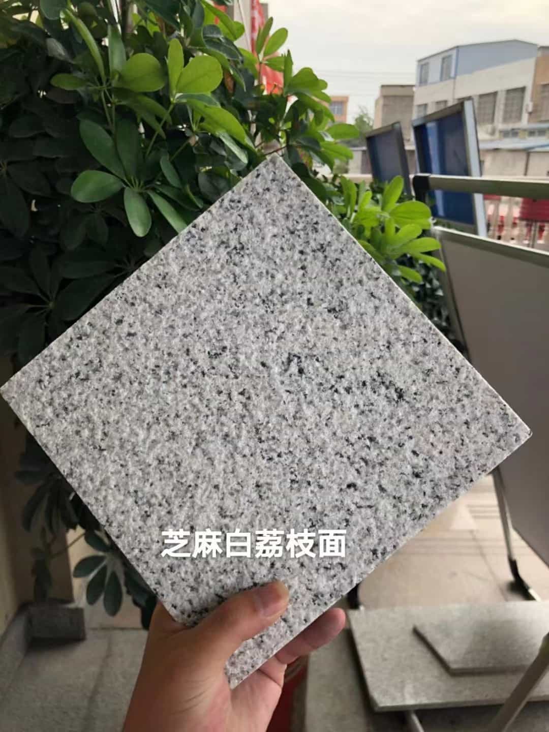 南充 芝麻白荔枝面干挂