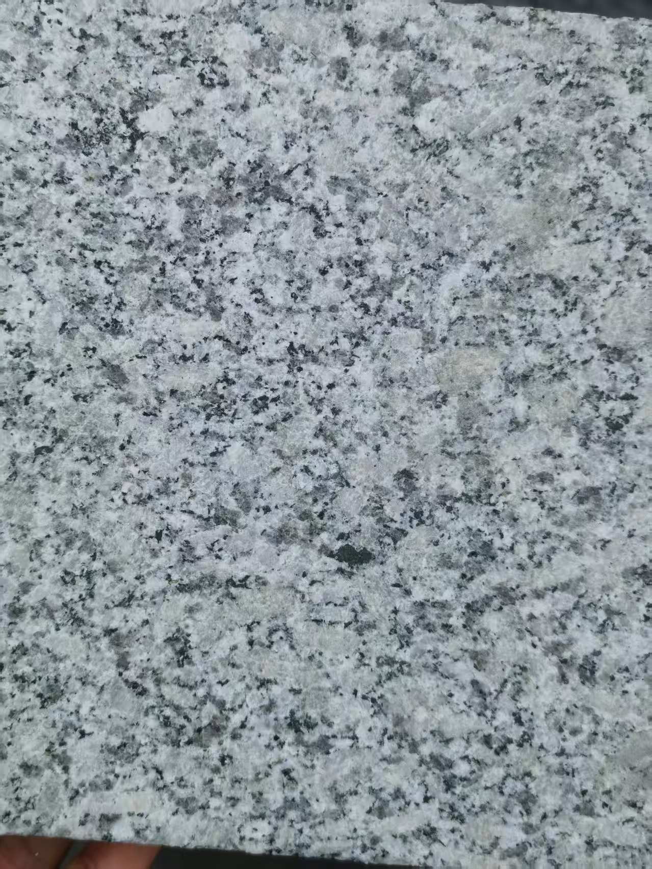 南充 芙蓉白火烧面